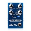 画像2: JOYO R-07 AQUARIUS ディレイ ルーパー ギターエフェクトペダル ルーパー機能 8 デジタルディレイエフェクトペダル 5分間の録音時間 S224001110460125 (2)