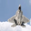 画像1: Freewing 90mm RCジェットプレーン F22 ラプター 6s PNP または 8s PNP オプション 高性能 フライト準備完了 上級者向け ラジコン飛行機 S22d2040216627 (1)