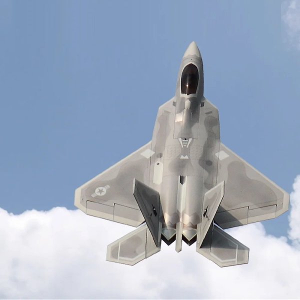 画像1: Freewing 90mm RCジェットプレーン F22 ラプター 6s PNP または 8s PNP オプション 高性能 フライト準備完了 上級者向け ラジコン飛行機 S22d2040216627 (1)