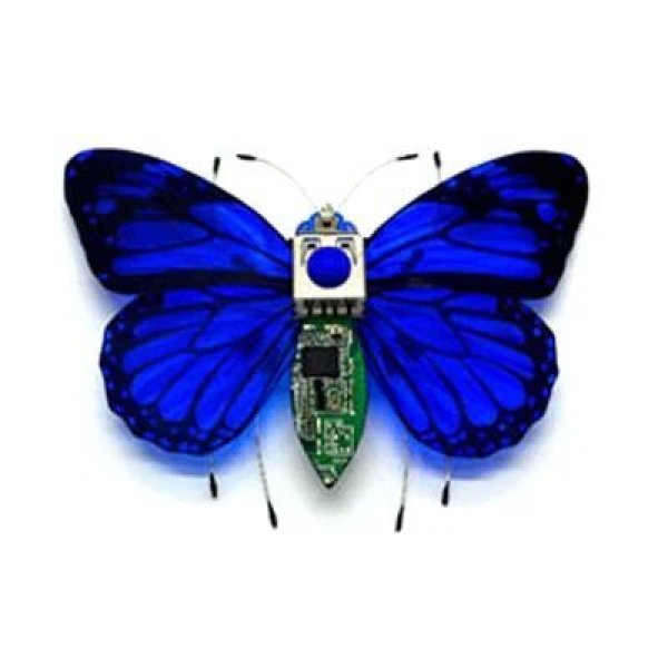 画像1: [ブルーバタフライ] STEAM DIY ロボット昆虫科学発明電子動物学校競技会用非はんだ付け DIYキットSTEMロボット動物 S22d5469013123_14 (1)