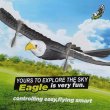 画像3: RC 飛行機 イーグル 翼幅広 2.4G 戦闘機 リモコン ホビー S22d5592433711 (3)