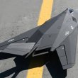 画像5: Lanxiang/LX/スカイフライトホビー F117 64 ミリメートルナイトホーク RTF RC 飛行機モード 1 モード 2 S22d5635847993 (5)