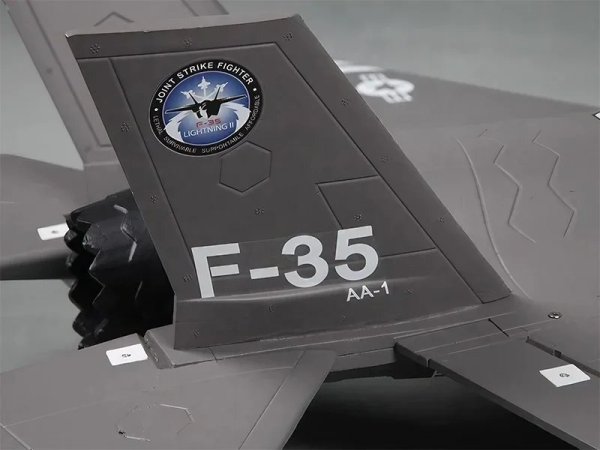 画像4: 高性能FMS F-35ライトニングII V2 PNPジェットRC戦闘機 64mmダクテッドファン搭載 800g推力 環境に優しい塗装済み航空モデル S22d7728391956 (4)