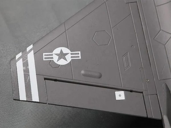 画像5: 高性能FMS F-35ライトニングII V2 PNPジェットRC戦闘機 64mmダクテッドファン搭載 800g推力 環境に優しい塗装済み航空モデル S22d7728391956 (5)