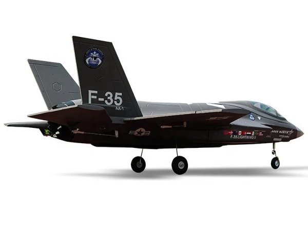 画像6: 高性能FMS F-35ライトニングII V2 PNPジェットRC戦闘機 64mmダクテッドファン搭載 800g推力 環境に優しい塗装済み航空モデル S22d7728391956 (6)