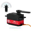 画像2: 12KG デジタルサーボ TD 9512MG セミメタル 4.8V 7.4V ステアリングギア 180/270/360度 RCカー 1:8 1:10 ドリフトカー フラットランナー用 S22d7924466141 (2)
