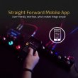 画像3: Hotone MIDIコントローラー Amperoコントロール デュアルフットスイッチペダル モーメンタリー 2ウェイペダル フットスイッチコントローラー Amperoスイッチ 6.35 mm S22d7982233474 (3)