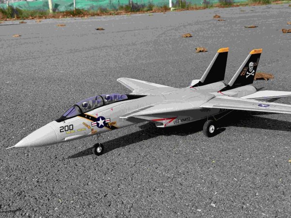 画像1: XFly F-14 トムキャット ツイン 40mm EDF ジェット PNP 電動 RC 飛行機 可変後退翼と全遊動式水平尾翼付き 970mm ウイングスパン S22d8069839516 (1)