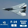 画像5: XFly F-14 トムキャット ツイン 40mm EDF ジェット PNP 電動 RC 飛行機 可変後退翼と全遊動式水平尾翼付き 970mm ウイングスパン S22d8069839516 (5)