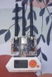 画像3: Flipper Zero向け 2.4G WiFi/ Bluetooth デュアルバンドジャマーモジュール、WPA2プロトコルクラッキングとIoTセキュリティテストをサポート S22d9328544415 (3)