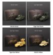 画像9: Massdi 1/64 タイガーガズ M1151 装甲車 ミニカー 対戦車 合金 ダイキャスト コレクション S22d9514260029 (9)